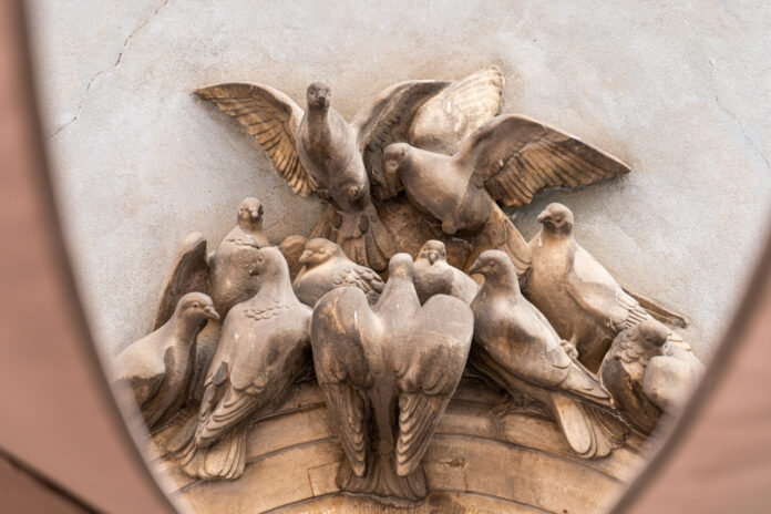 Znaczenie gołębi w sztuce i literaturze na przestrzeni wieków